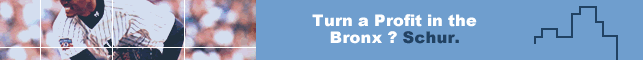 Turn a Profit in the Bronx? Schur!